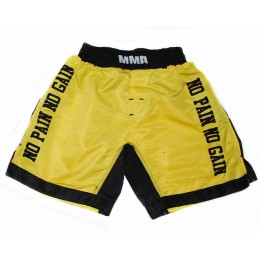 Шорты спортивные мужские