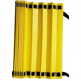 Координационная лестница