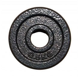 Диск для штанги окрашенный 0,5 кг d-26